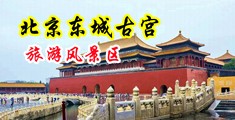 五根大鸡吧肏一屄视频中国北京-东城古宫旅游风景区